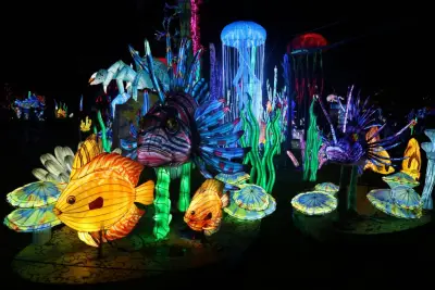 Check out photos from this weekend’s opening of the Chinese Lantern Festival