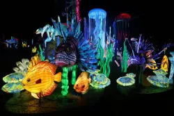 Check out photos from this weekend’s opening of the Chinese Lantern Festival