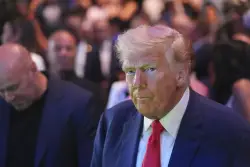 The Democratic Party Today Is a Sad Tale — but You Already Knew That