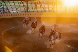 Dancing on Horseback